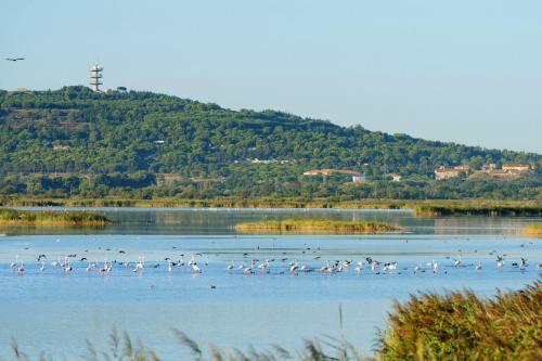 R�sidence Grand Bleu Vacances - Les Pescalunes