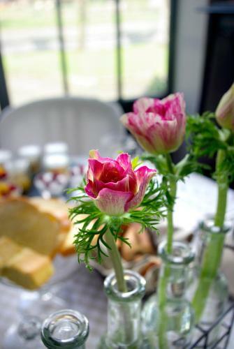 Bed & Breakfast La Maison De La Couleur