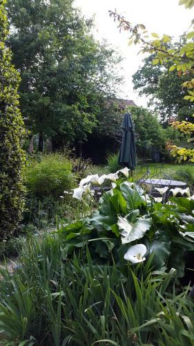 Bed & Breakfast La Gentilhommi�re
