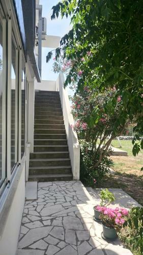 Hostal Guesthouse Budima