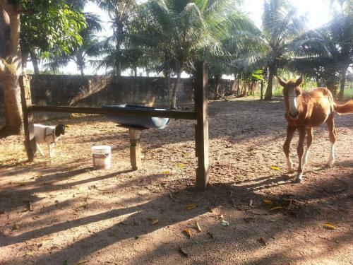 Agroturismo Chacara Santa Barbara