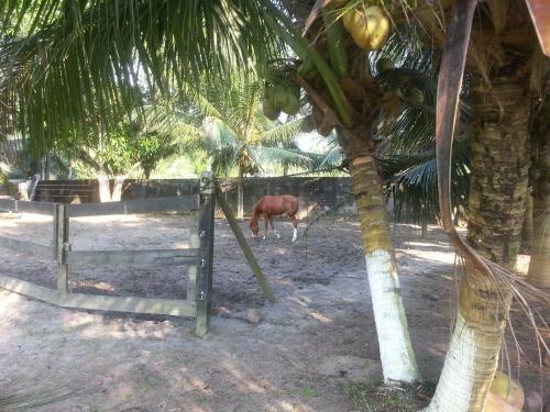 Agroturismo Chacara Santa Barbara