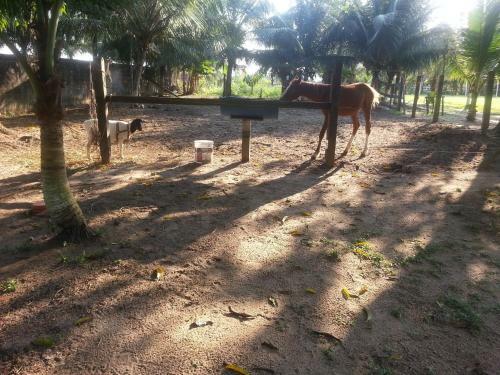 Agroturismo Chacara Santa Barbara