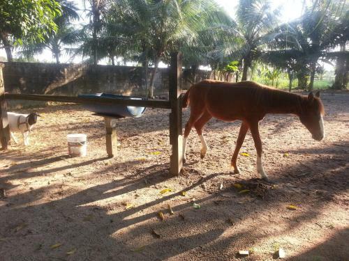 Agroturismo Chacara Santa Barbara