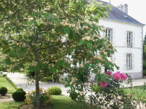 Bed & Breakfast Le Logis Du Stang