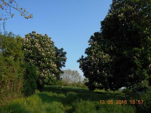Bed & Breakfast Ferme Manoir La Fiere