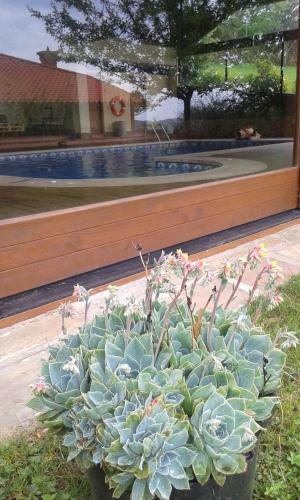 Agroturismo Fuente De G�elo