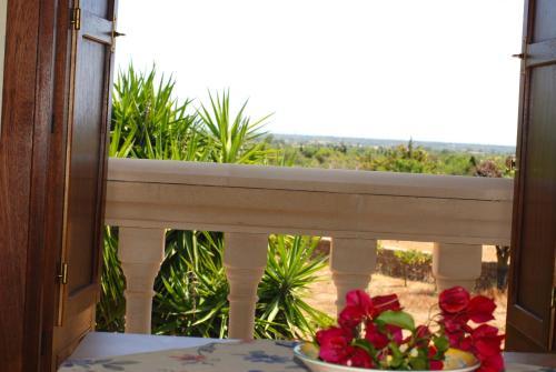 Agroturismo Finca Can Paulino