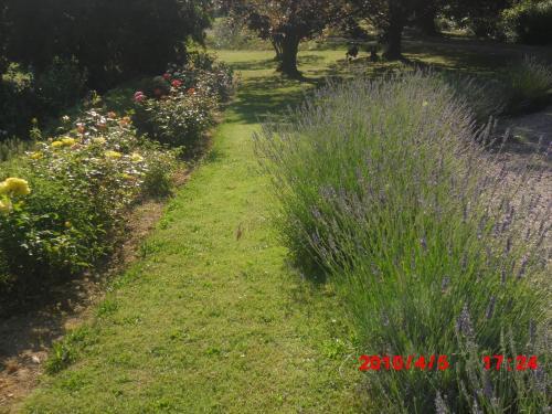 Agroturismo Mas Caterina