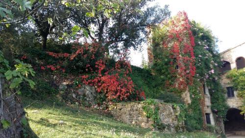 Agroturismo Mas Caterina