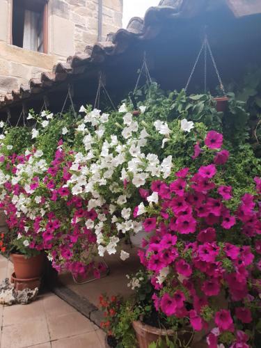 Agroturismo El Cuartelillo Viejo