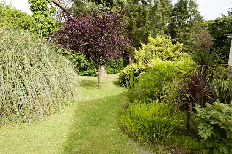 Agroturismo Cwmwennol Country House