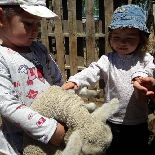 Agroturismo Complejo Los Parrales