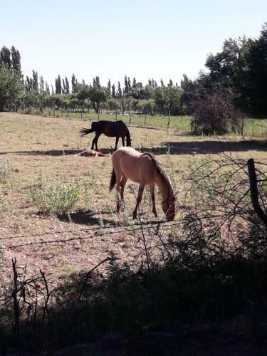 Agroturismo Complejo Los Parrales