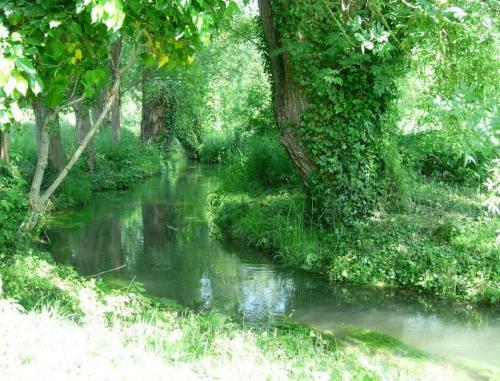 Bed & Breakfast Le Moulin Fleuri Du Petit Appeville