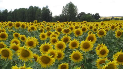 Agroturismo Casa Rural Pati�o