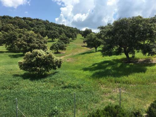 Agroturismo Casa Rural Nacimiento Del Hu�znar