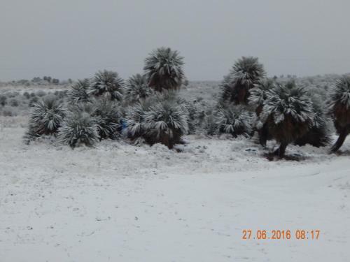 Agroturismo La Palmita
