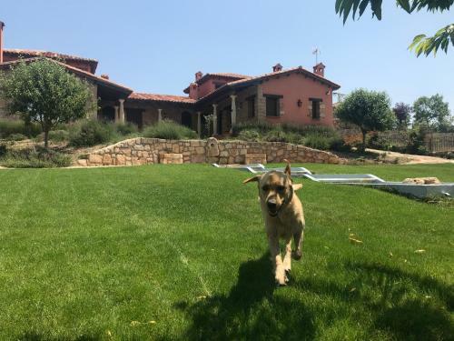 Agroturismo Hr El Castejon De Luzaga