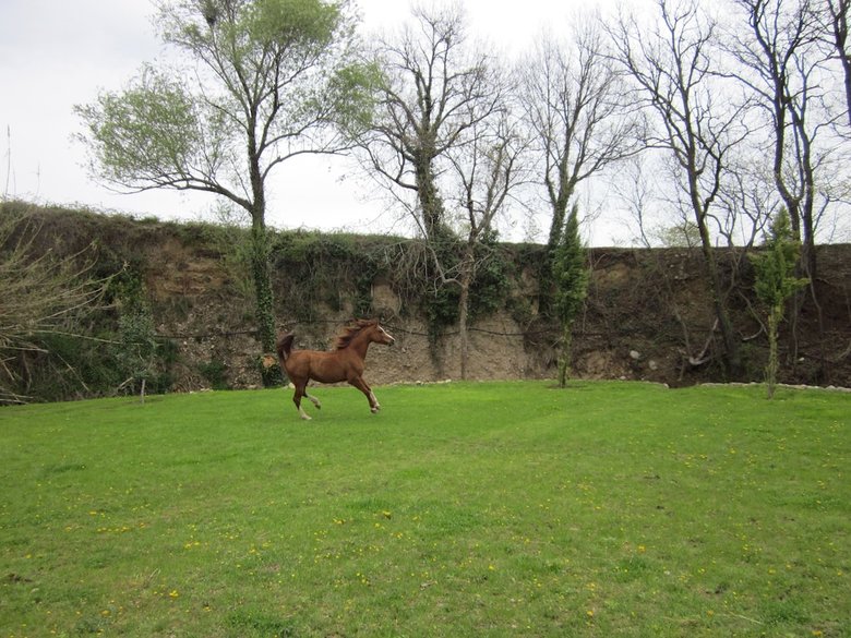 Agroturismo Casa Horta
