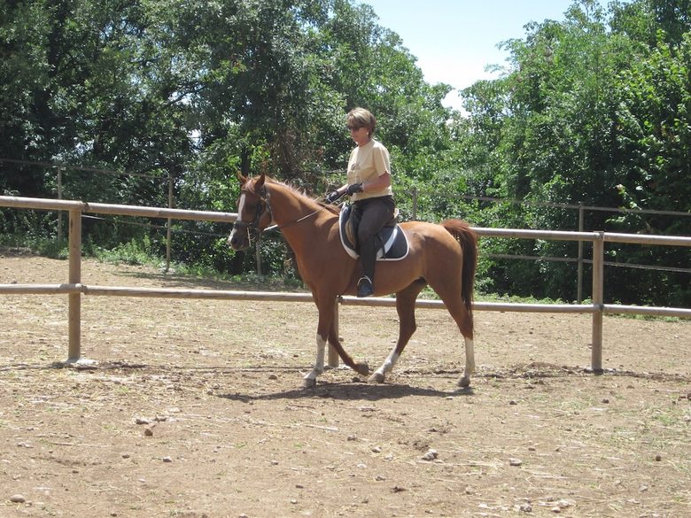 Agroturismo Casa Horta