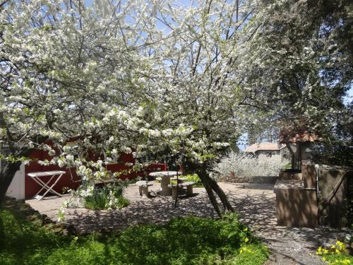 Agroturismo Casa Rural La Gustoza