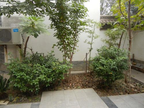 Hostal Terra-cotta Warriors Guesthouse