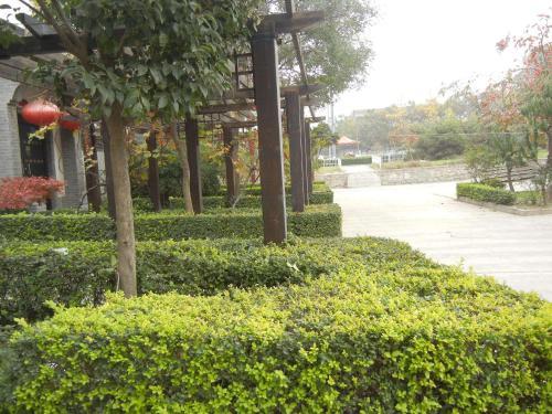 Hostal Terra-cotta Warriors Guesthouse