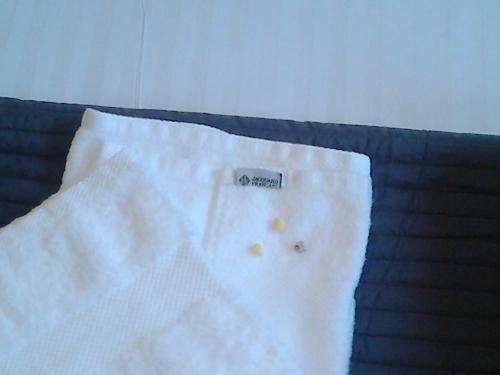 Apartamentos Appart Titanic Cherbourg
