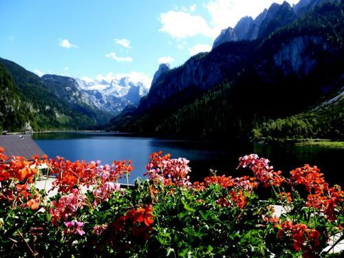 Hostal Gasthof Gosausee
