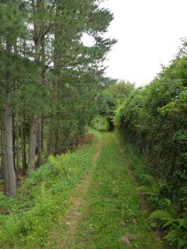 Agroturismo Viviendas Rurales Aldea De Dosamantes