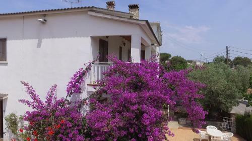 Agroturismo Casa De Vacaciones "cal Vives"