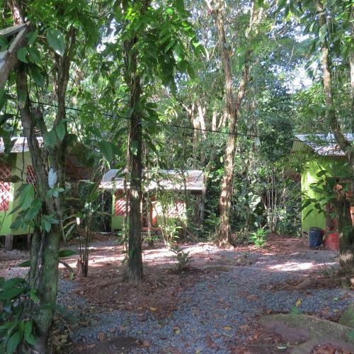 Bed & Breakfast Toucan And Tarpon