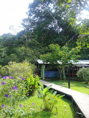 Bed & Breakfast Toucan And Tarpon
