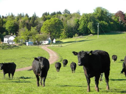 Agroturismo Kirkwood Cottages