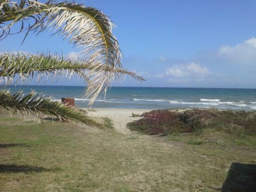 Pinea Mare