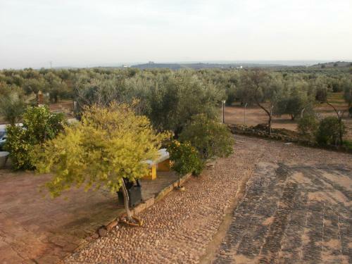 Agroturismo Cortijo Molino San Juan