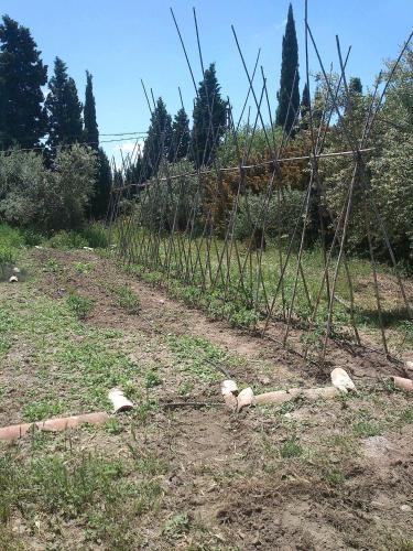 Agroturismo Cortijo Algabia