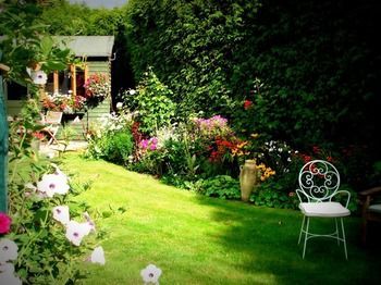 Agroturismo Latchetts Cottage