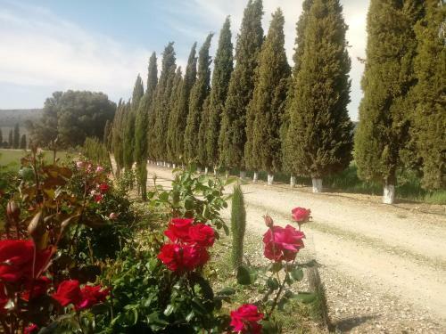 Agroturismo Cortijo Ferradores