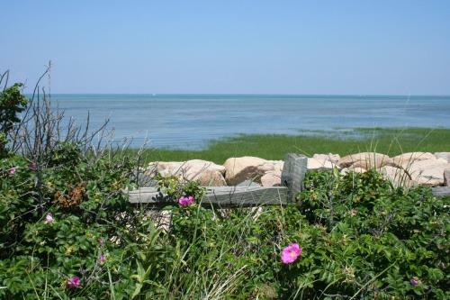 Bed & Breakfast Sea Meadow Inn