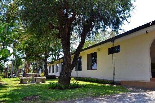 Bed & Breakfast Hotel Mango