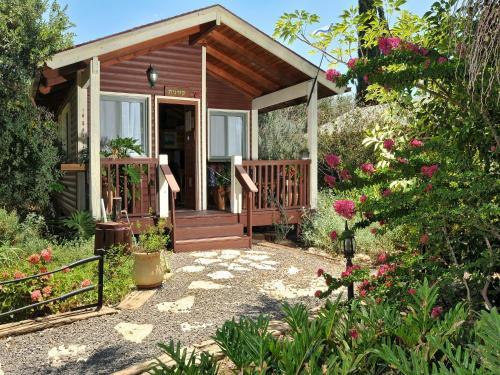 The Galilee Cabin