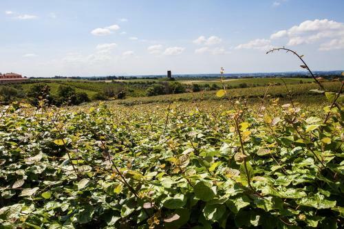 Agroturismo I Casali Della Parata