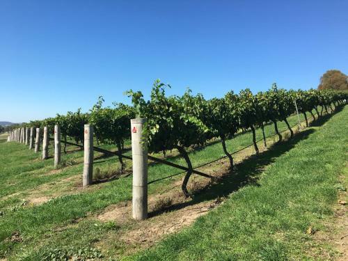 Turners Vineyard Motel