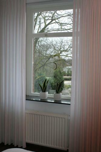 Bed & Breakfast Villa Wambacherbos