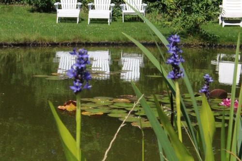 Bed & Breakfast Villa Wambacherbos