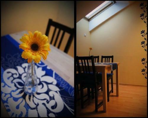 Green Hostel Wroc?aw Przy Zoo