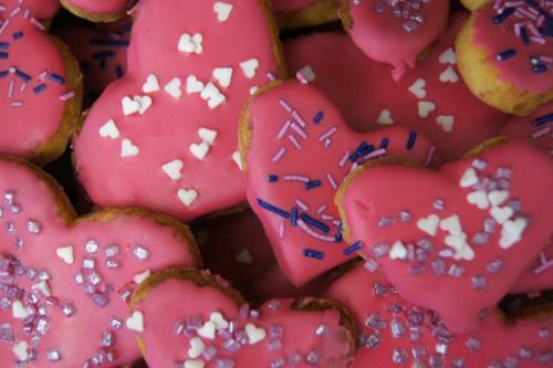 Green Hostel Wroc?aw Przy Zoo