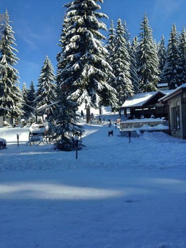Hotel Romantica Forest Holiday Village